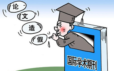 中国舆论场最新一期观点论述深度解析