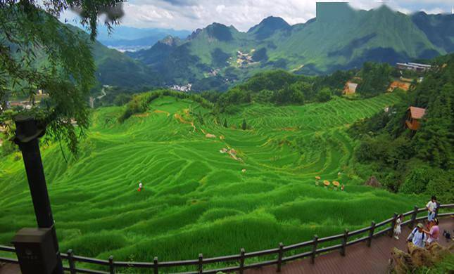 电解锰最新价格行情,电解锰最新价格行情，一场自然美景的旅行，探寻内心的宁静与平和