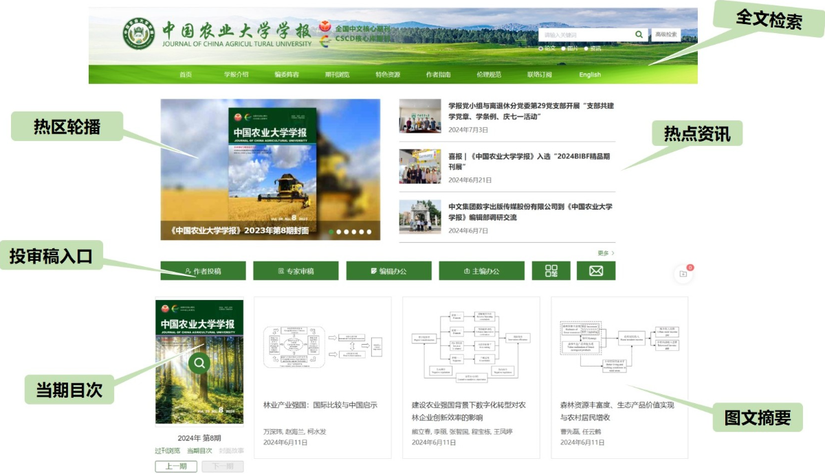 第四色最新网站，色彩中的温馨日常探索