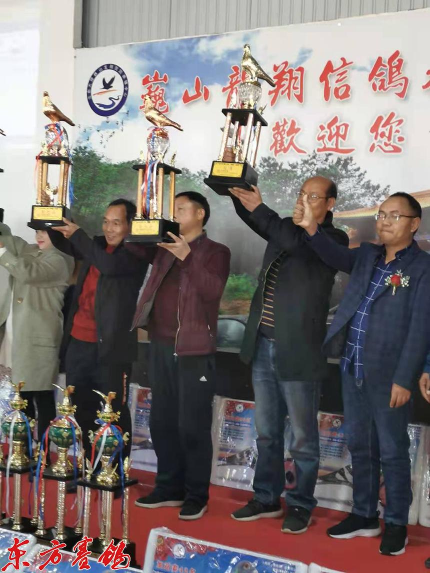 龙翔公棚最新公告发布，详细观点论述亮相