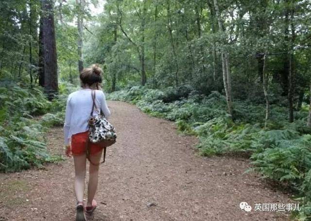 女友赢三张最新版，自然美景的心灵之旅