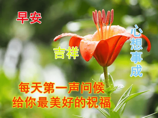 同学们早上好，时代印记与青春启航的最新图片