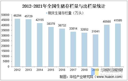 玉米最新行情概览，市场分析与个性化观点分享