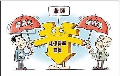 社保最新政策解析与观点论述，深度探讨改革动向及其影响