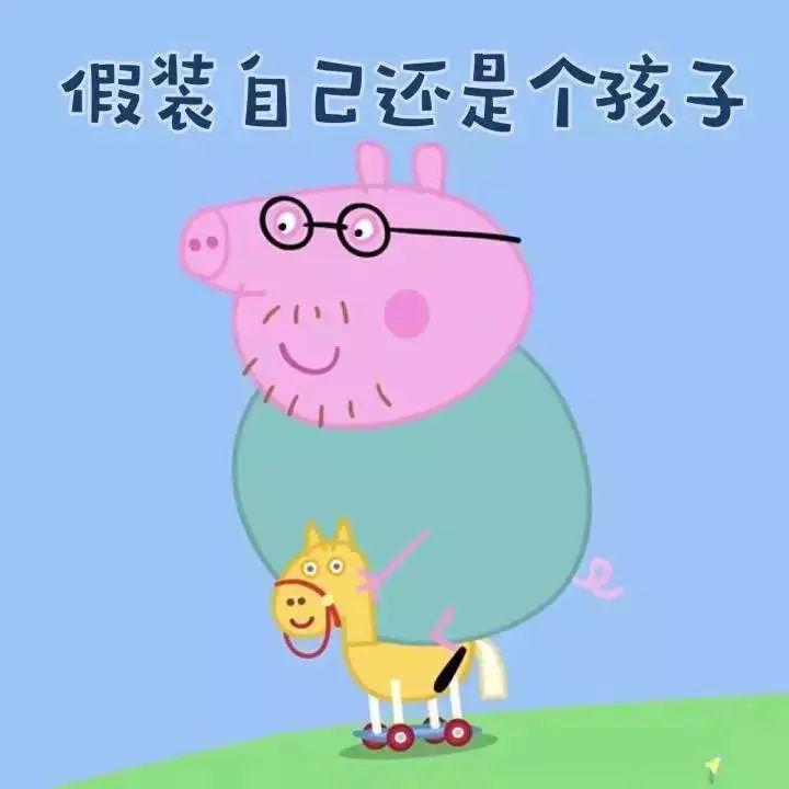 猪蜜蜜最新动态，变化、学习与自信的力量成长之路