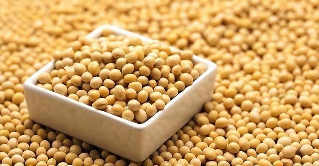 国产大豆产业迎来新篇章，繁荣消息不断传递