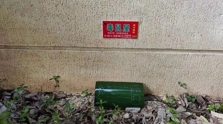 最新毒鼠屋使用指南与介绍
