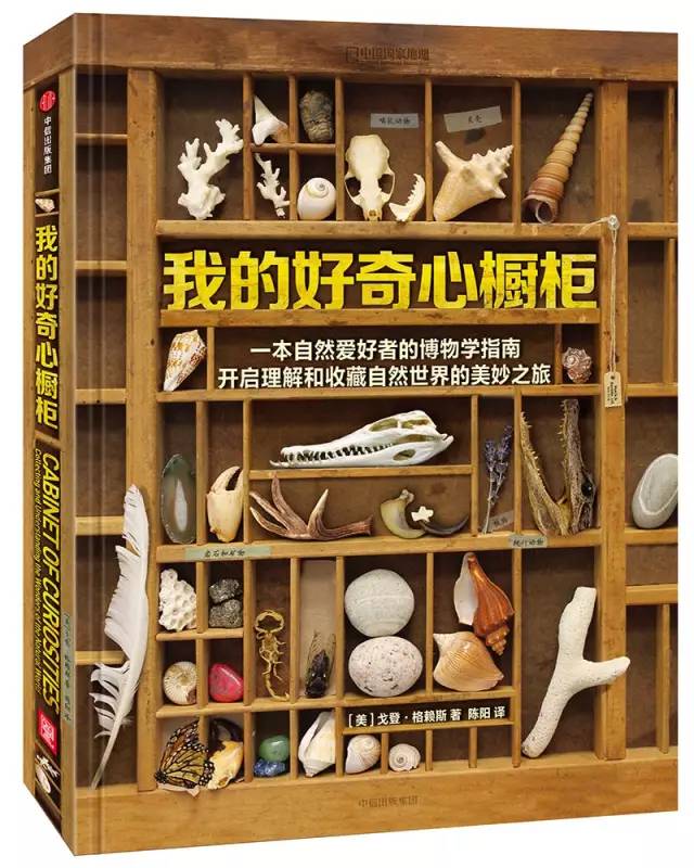 萝莉吧最新,萝莉吧最新，如何成为资深萝莉文化爱好者——初学者与进阶用户指南