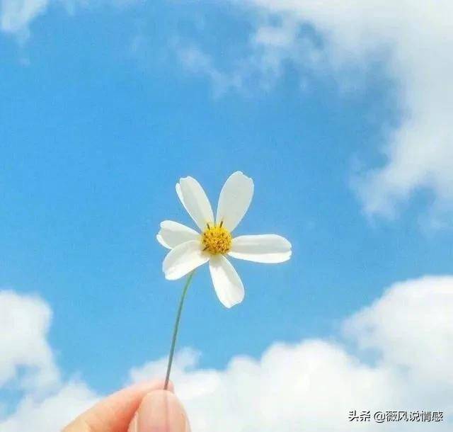 阳光下的友情故事，最新小清新头像分享