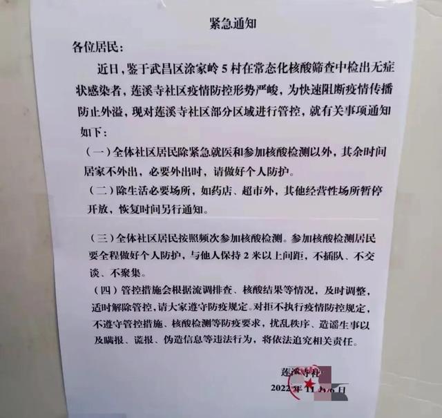 湖北疫情最新通报，小巷深处的独特风味