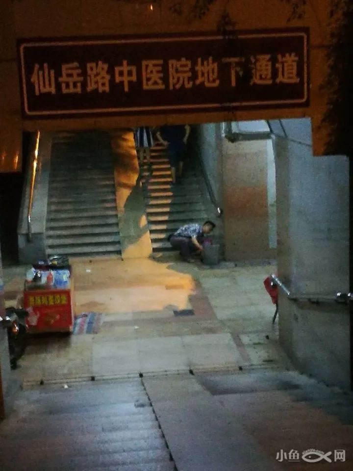 路边摊的新风采，小摊贩的逆袭与自信成就之源