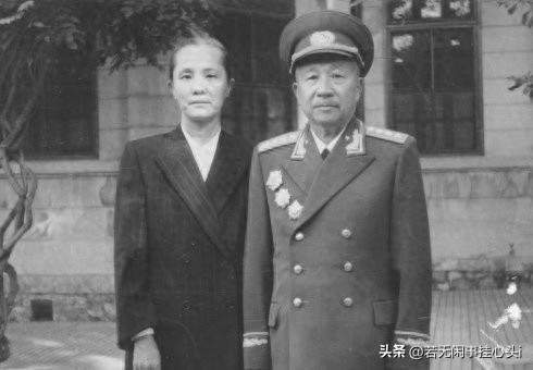 启程寻找奇迹，最新紧急通知引领内心宁静之旅