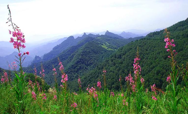 揭秘最新黄山门票信息，畅游黄山美景！