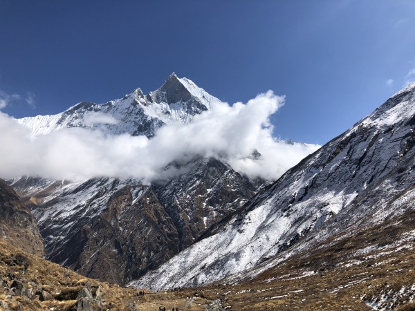 探索最新网址，发现自然美景，寻找内心平和之旅