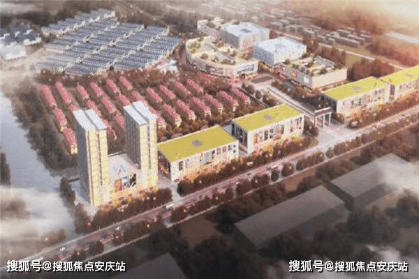 泽村最新情报深度解析与观点阐述