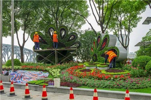 花花最新版，助力学习之路，自信成就梦想之路
