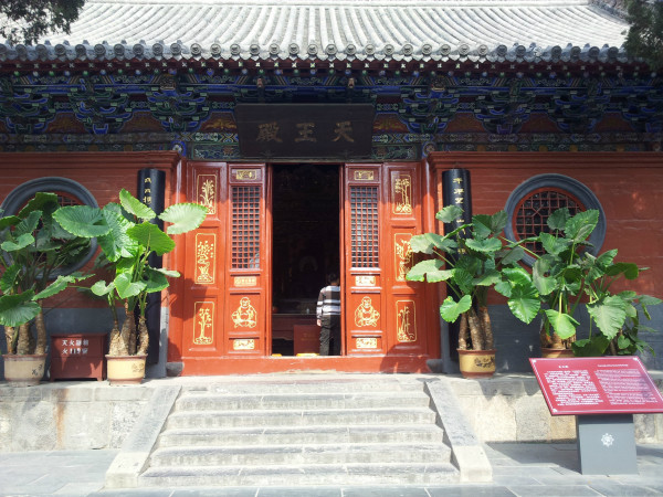 天王殿最新动态，学习变化，自信与成就感的源泉