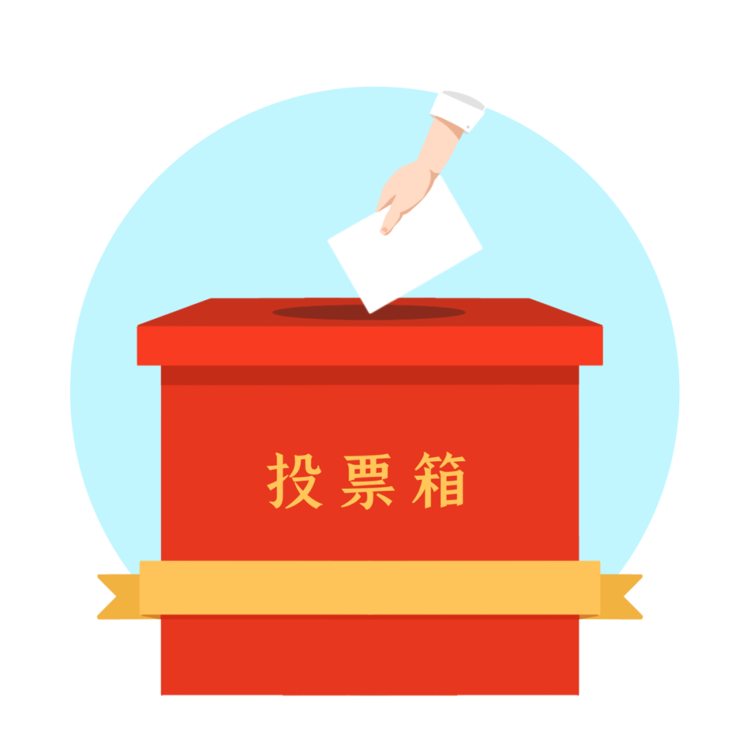 最新票数选举实时统计与结果分析