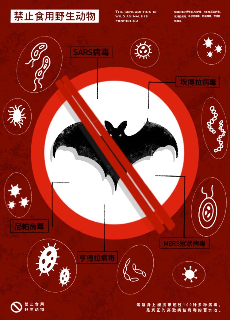 最新禁吃野味，科技产品介绍及应对之策