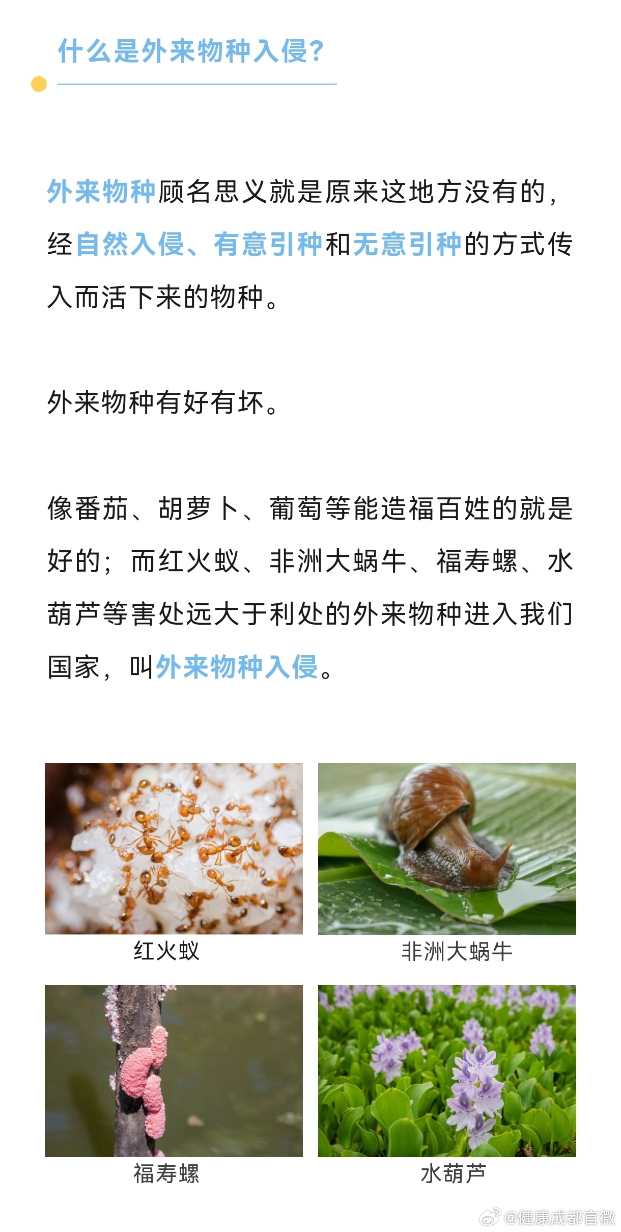 外来物种入侵，自然美景背后的探索与挑战