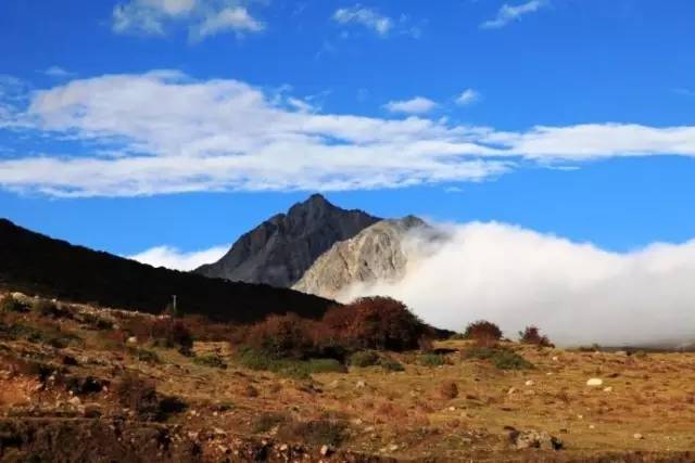 李承灿最新探险之旅，心灵寻觅自然美景之旅