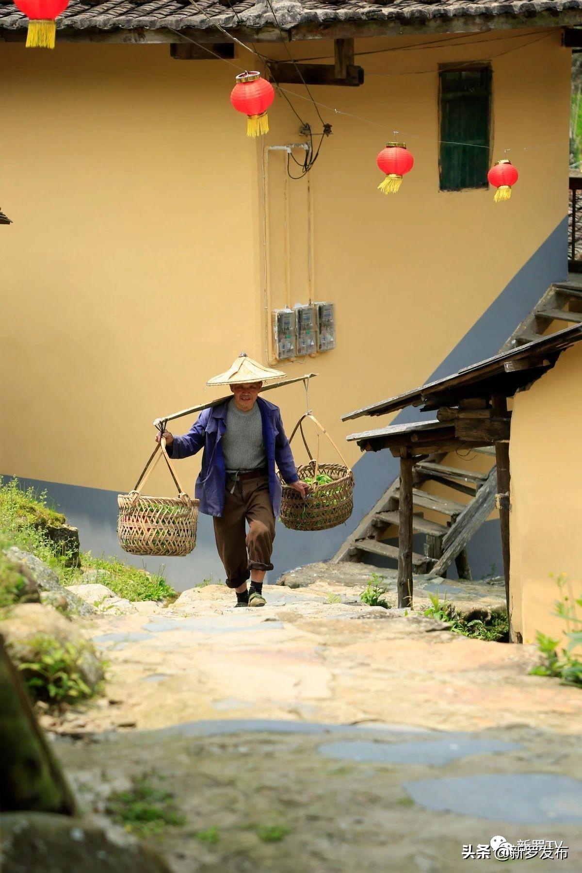 最新游戏探索，自然美景之旅，追寻内心平和的旅程