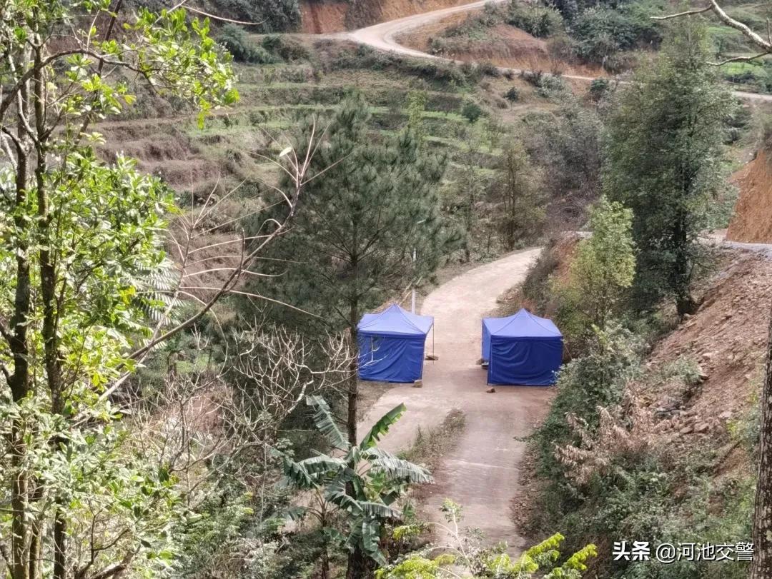 最新抗疫药物，科技之光照亮抗疫之路的健康之路