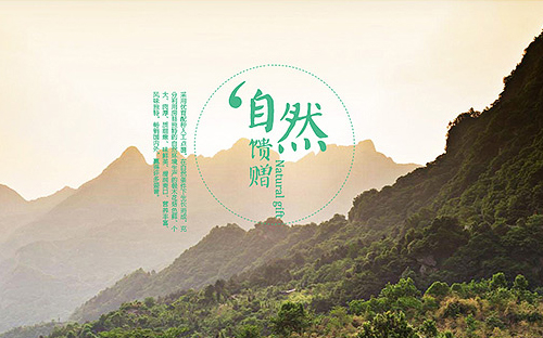 最新内种网站，自然美景探索与心灵之旅的启程点