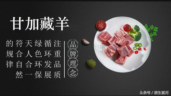 最新入藏要求深度解析与观点阐述