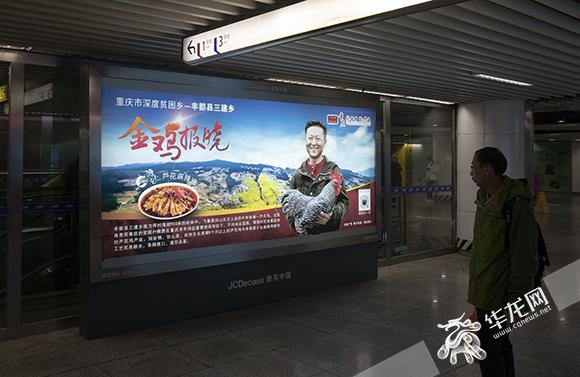 丰都县最新动态，美好正在发生！