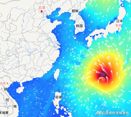 台风海神最新预报，小巷深处的独特风暴威胁