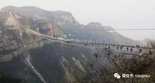 崖永元最新动态，变化中的学习成就自信与力量之路