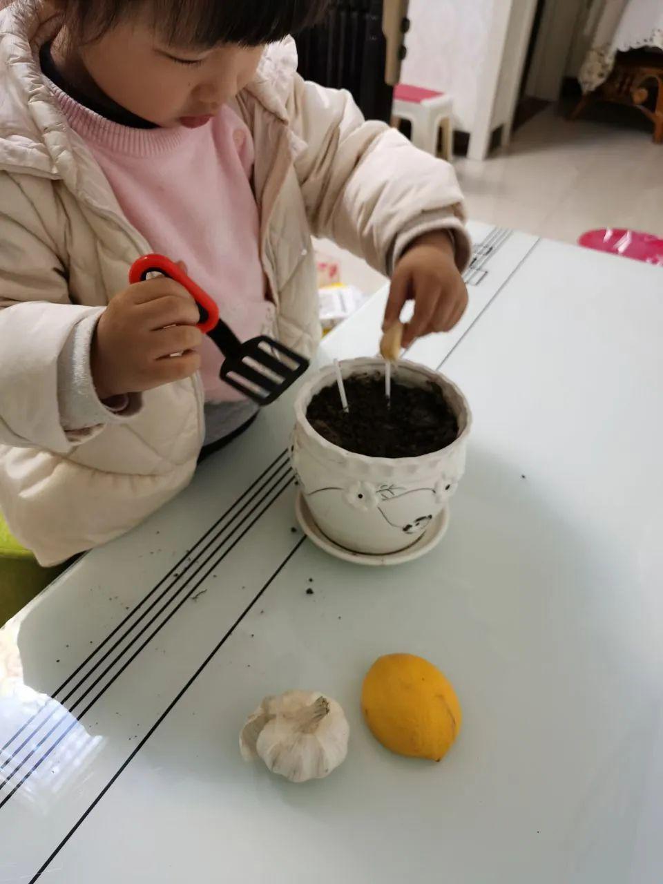 田横最新动态，自然美景探索之旅，寻觅内心平和与喜悦