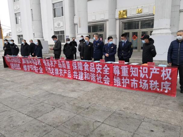 最新法院年报及其编写指南概览