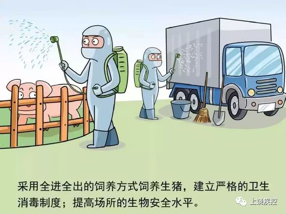 河北最新疫情通知下的温馨日常趣事分享