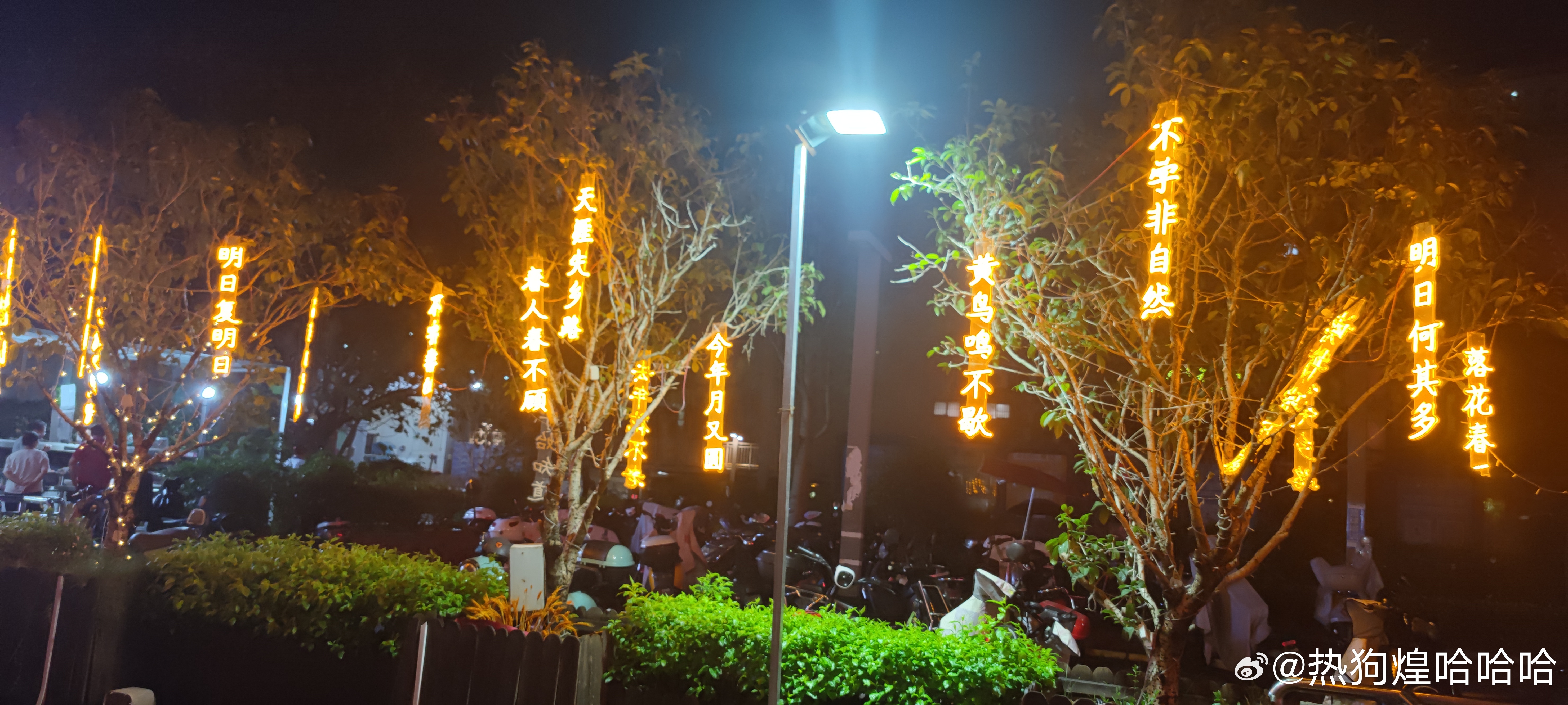 平江最新夜歌，城市夜生活的独特魅力与风情展现