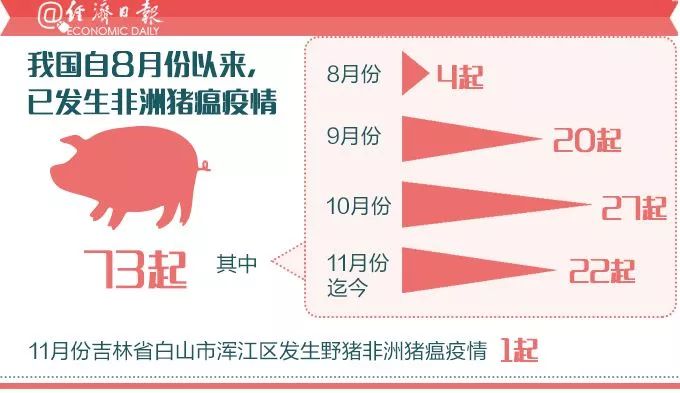 全球抗击疫情最新进展与关键信息速递，疫区最新情况概述