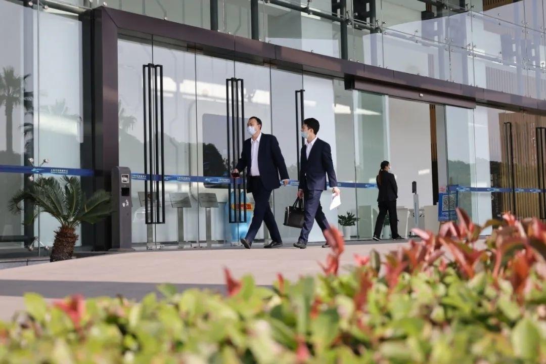 湾区最新疫情动态更新