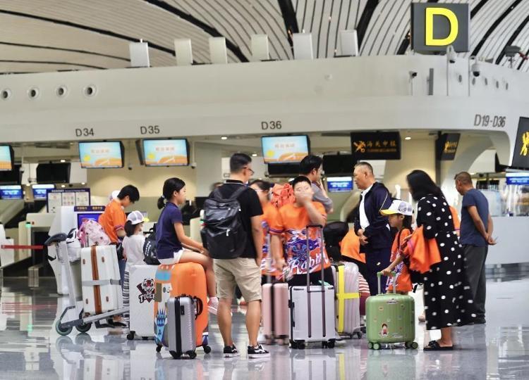 最新登机要求详解，一步步指南