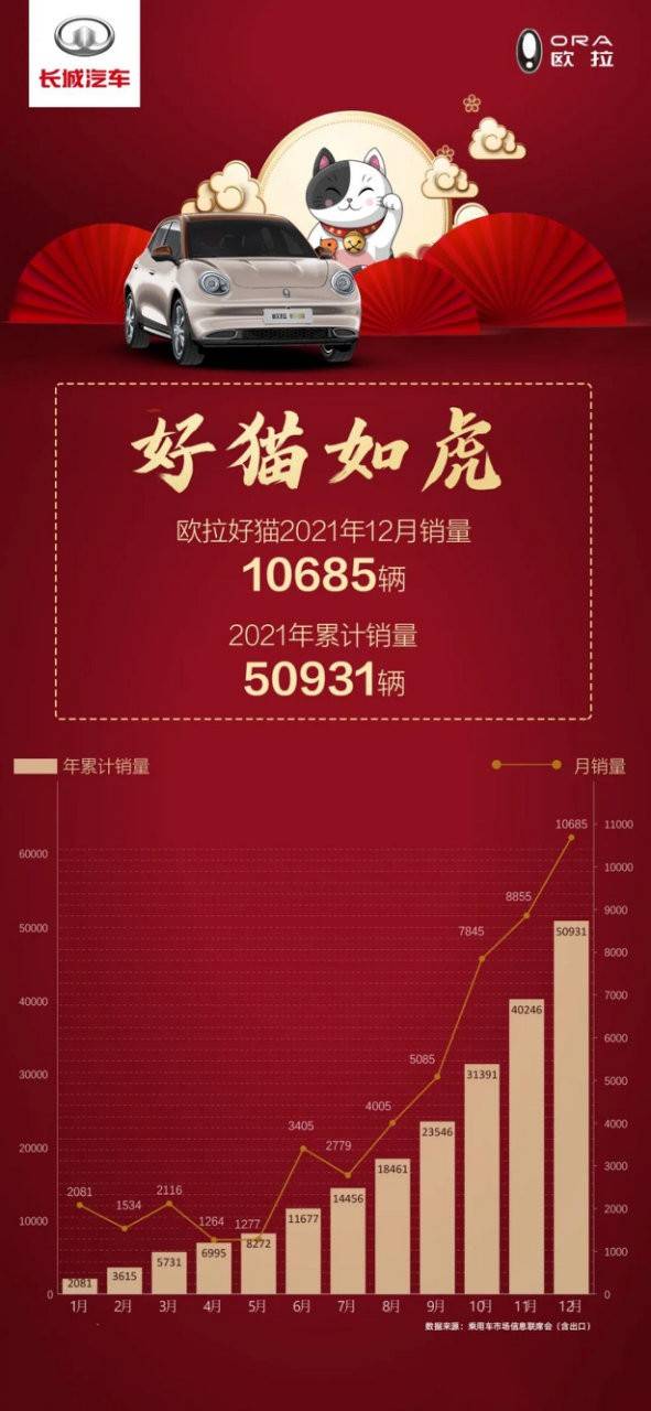 色虎最新域名，探索知识新领域，启程梦想成就之旅