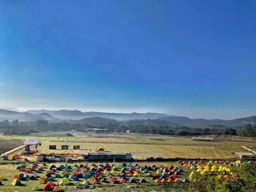 华能国际最新动态，启程自然美景探索之旅，内心平静之旅启幕