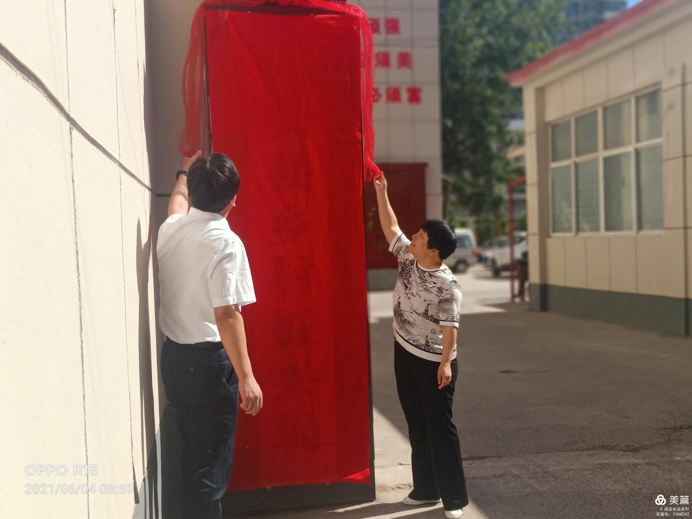 疏勒县招聘信息全面概览