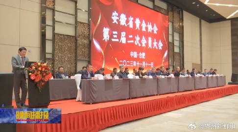 安徽上市公司协会的独特魅力与影响力概览