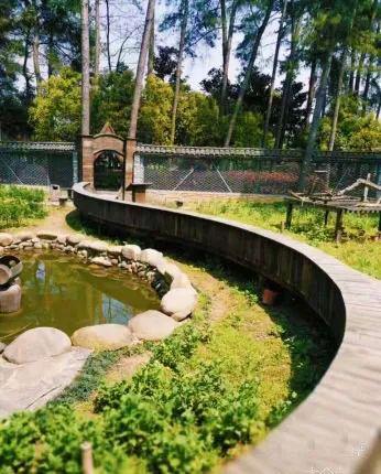 永康大陈民宿住宿价格探索与体验之旅