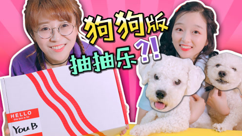 最新小伶玩具趣味视频，探索儿童娱乐的新疆界