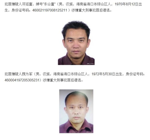 东营最新网络通缉令揭秘，奇妙一天背后的真相探索