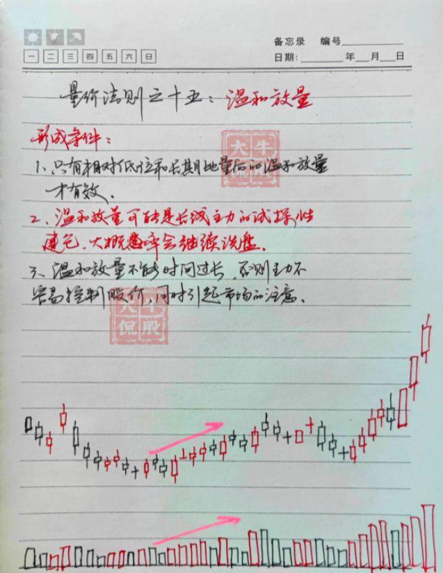 探寻股市之门，如何查股票的魅力与奥秘指南
