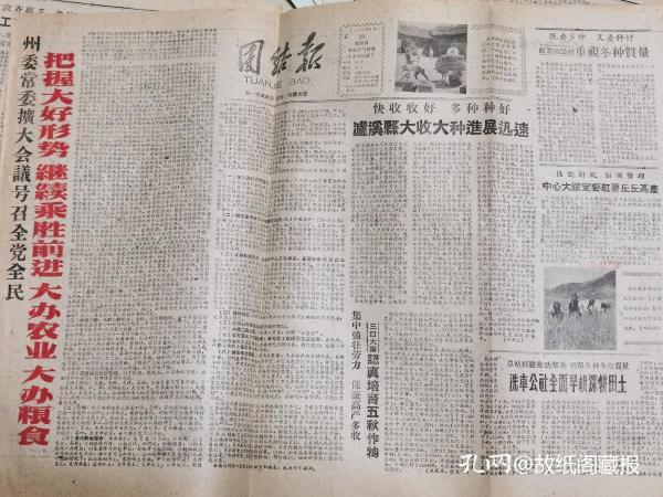 永顺县新闻快讯，编写指南与最新资讯速递