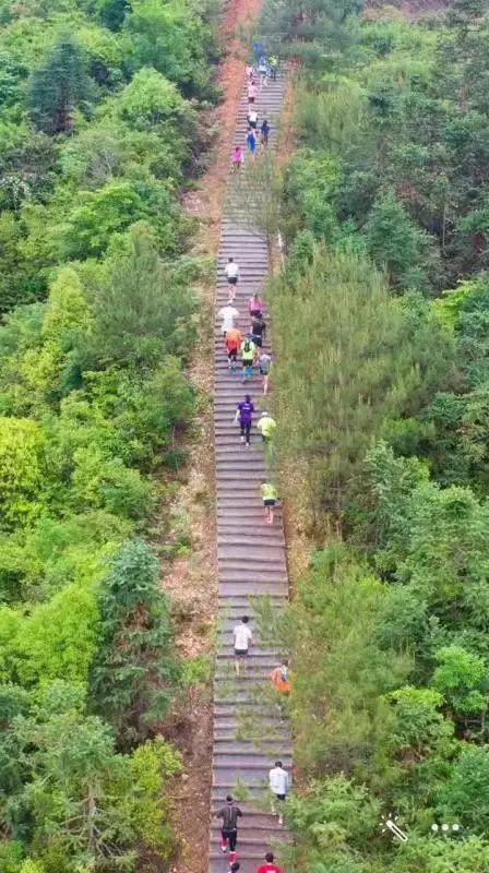 最新广场舞，最美的传奇与自然美景探索之旅