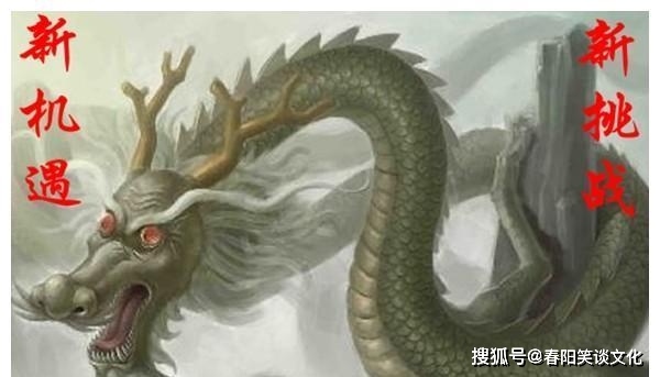 小型垃圾焚烧炉 第137页
